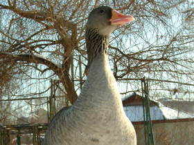Смотреть фото Загадки для детей с ответами Фото Загадки для детей с ответами