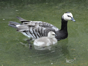 Фото Полярная весна
