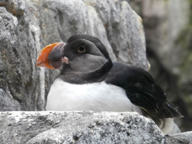 Смотреть фото Тупик Фото Тупик