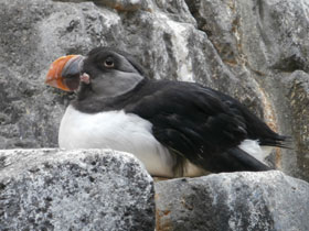 Смотреть фото Тупик Фото Тупик