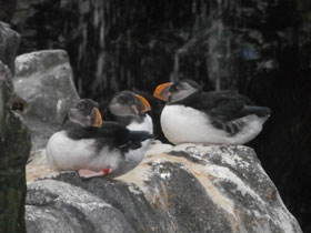 Смотреть фото Тупик Фото Тупик