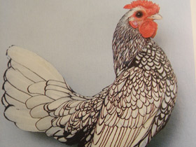 Смотреть фото Загадки для детей с ответами Фото Загадки для детей с ответами