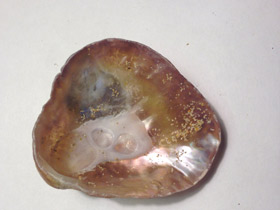 Смотреть фото Аномии Фото Аномии