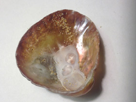 Смотреть фото Аномии Фото Аномии