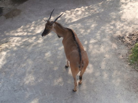 Смотреть фото Канна Фото Канна