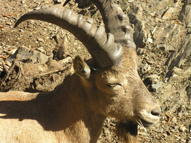 Смотреть фото Западнокавказский тур Фото Западнокавказский тур