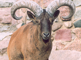 Фото Дагестанский тур