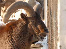 Фото Дагестанский тур