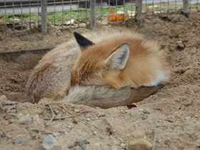 Смотреть фото Малыши с зеленой площадки Фото Малыши с зеленой площадки