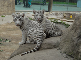 Смотреть фото Солнечные ванны Фото Солнечные ванны