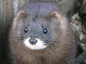 Смотреть фото Биография новорожденных Фото Биография новорожденных