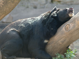 Смотреть фото Малыши с зеленой площадки Фото Малыши с зеленой площадки