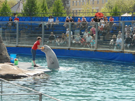 Смотреть фото Белуха Фото Белуха