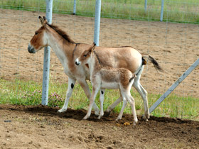 Смотреть фото Кианг Фото Кианг