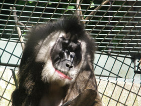 Смотреть фото Дрил Фото Дрил