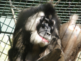 Смотреть фото Дрил Фото Дрил