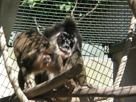 Смотреть фото Дрил Фото Дрил