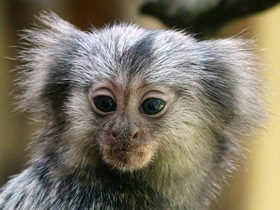 Смотреть фото Солнечные ванны Фото Солнечные ванны