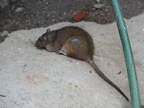 Смотреть фото Разноплеменная семья Фото Разноплеменная семья