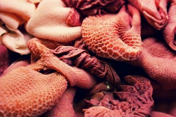 Субпродукты для собак: сколько варить вымя говяжье
