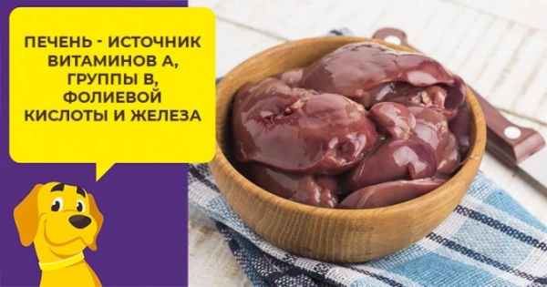 Субпродукты для собак: сколько варить вымя говяжье