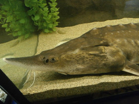 Смотреть фото Калуга Фото Калуга