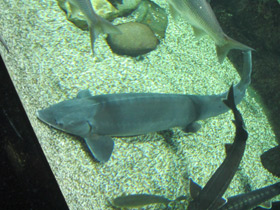 Смотреть фото Калуга Фото Калуга