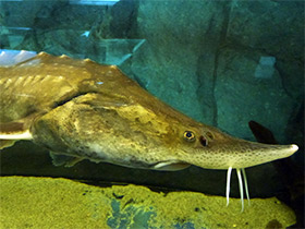 Смотреть фото Калуга Фото Калуга